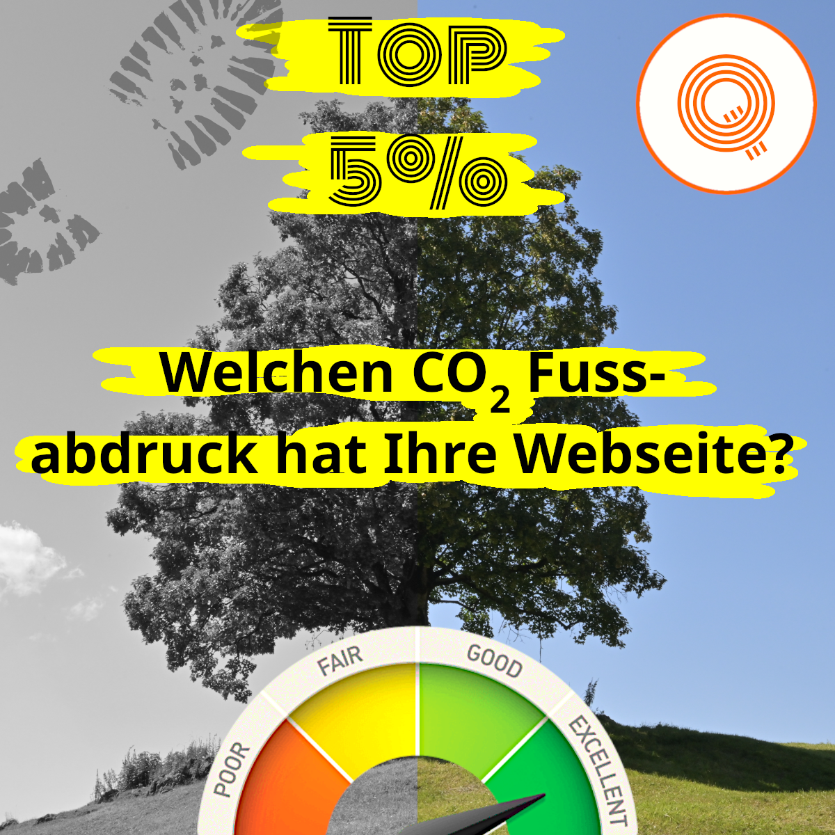 Nachhaltiges Webdesign: CO2-Budget einer Website senken