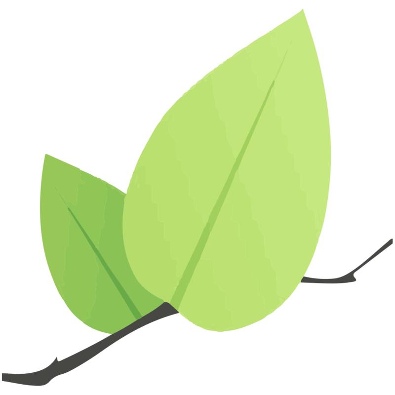 Leaflet