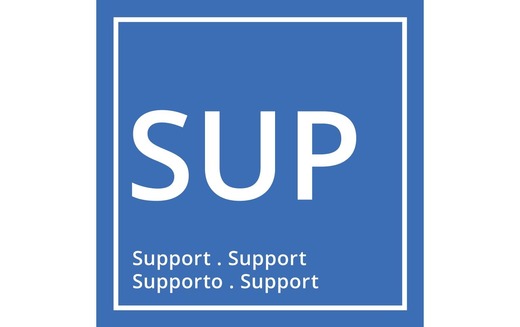 Ekahau Pro ESS-PRO-SUP-R Verlängerung