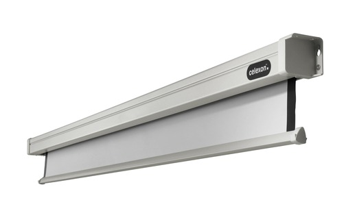 Celexon, Motor Professional, Leinwand, 1:1