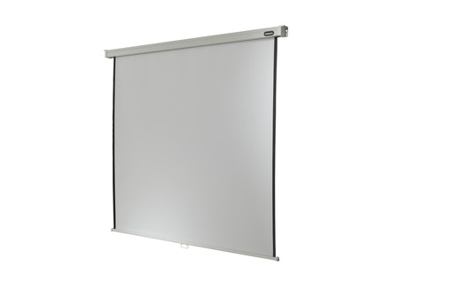 Celexon Rollo-Leinwand Pro