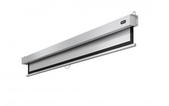 Celexon Rollo-Leinwand Professional Plus