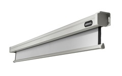 Celexon, Motor Professional, Leinwand, 1:1