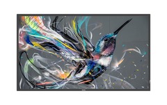 Philips, Public Display Q-Line 43BDL3511Q/0