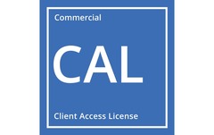 DELL Windows Server 2025/2022 User CALs